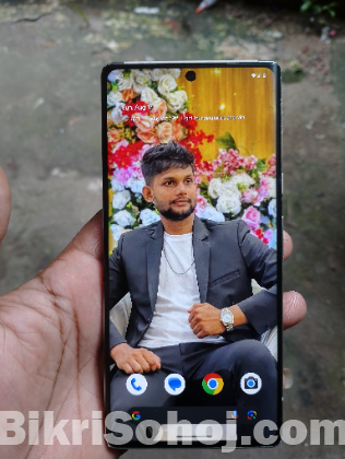 Google pixel 6 pro